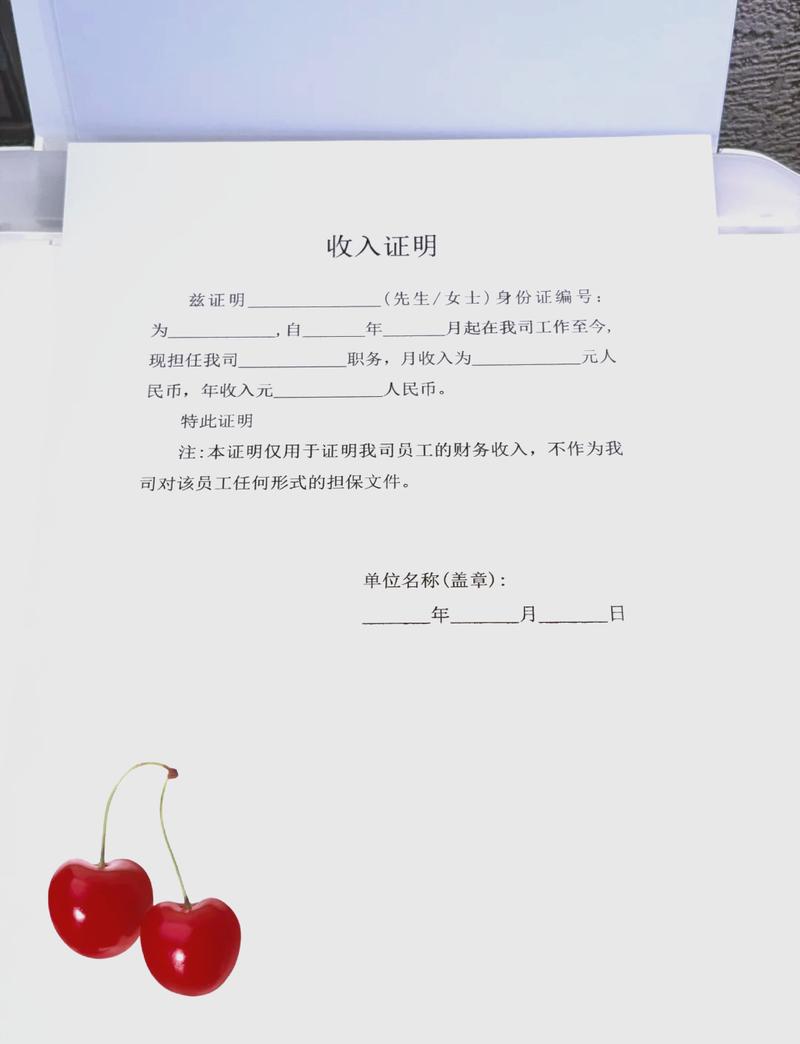 连云港代开收入证明的正确姿势：张会计的突围战
